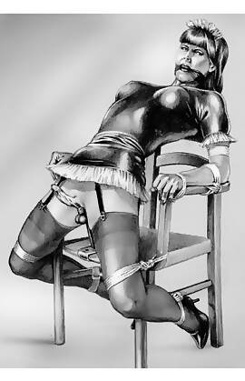 My Feminization by Lustomic (Chapter 03 - how I become my wife's maid)