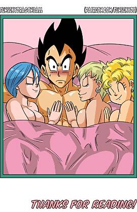 A Brief Affair!  Dragon Ball Super by FunsexyDB (Chapter 01)